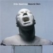 Music CD Broken Skin by Nitin Sawhney